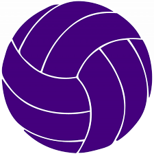 Purple Volleyball - VolleyDojo
